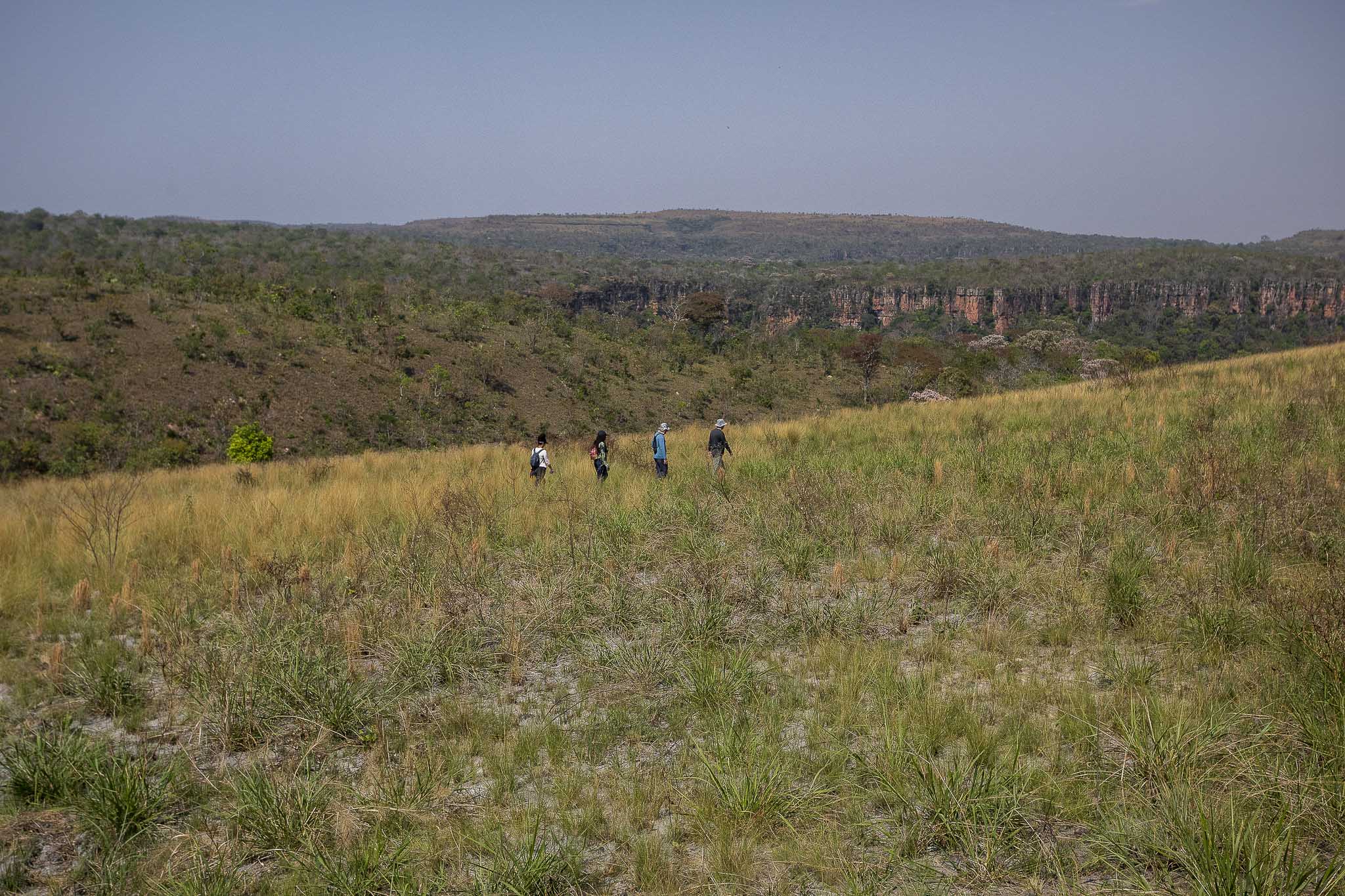 Imagem Expedição Chap Guim - ESEC Serra das Araras--33 da expedição de expedicoes/araras_25